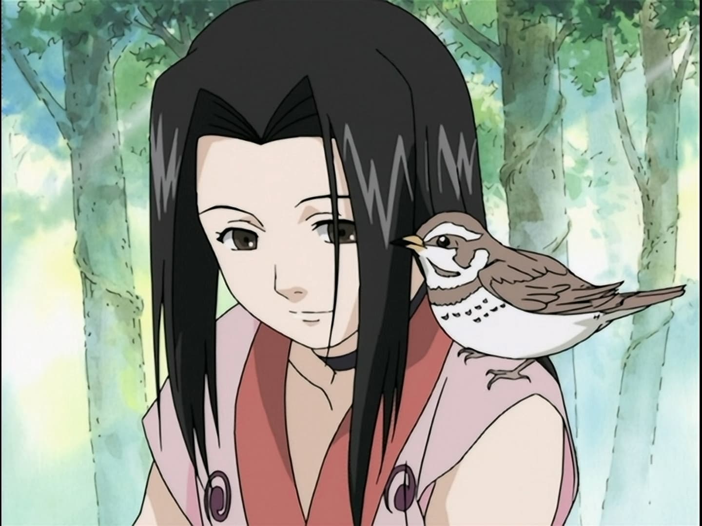 Naruto - Battle on the Bridge! Zabuza Returns!