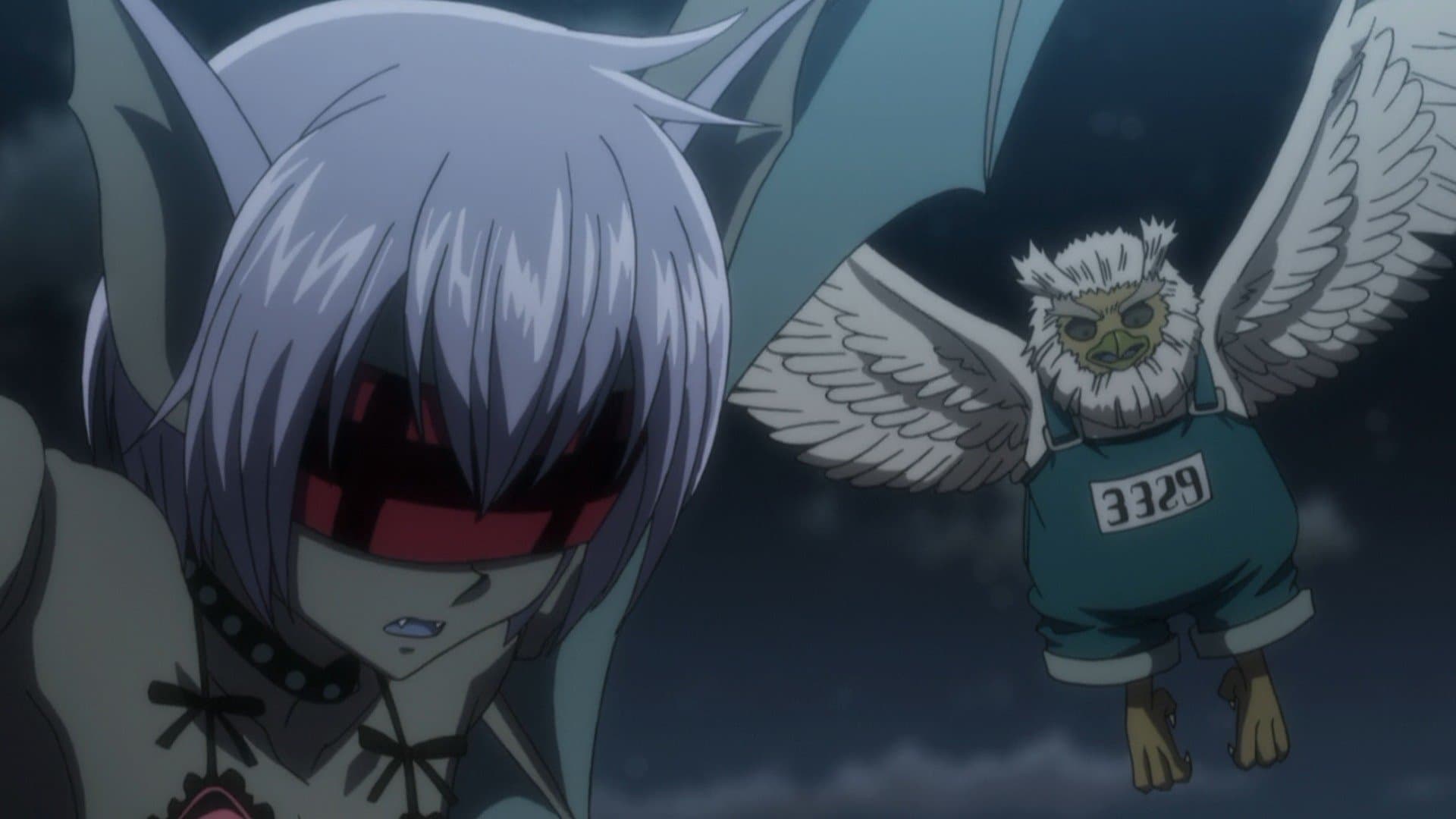Hunter x Hunter - Combination x And x Evolution