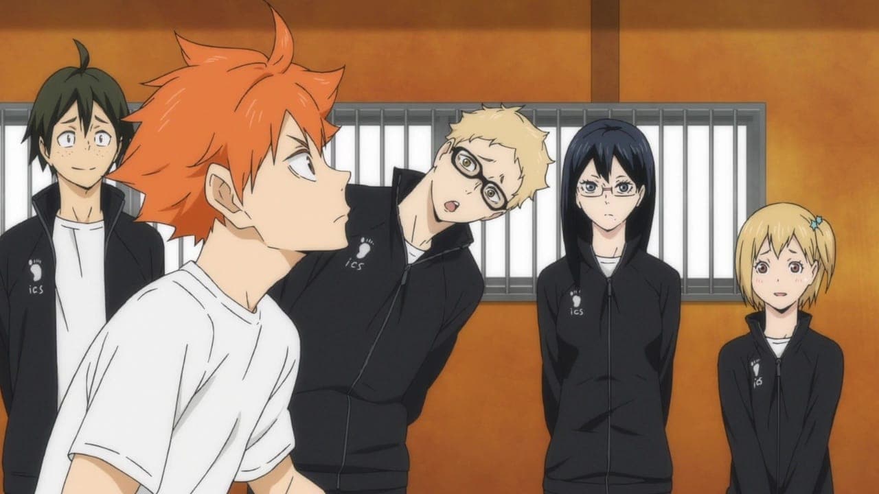 Haikyuu!! - Introductions