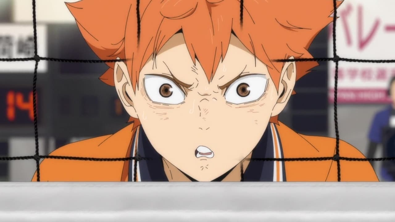 Haikyuu!! - Found
