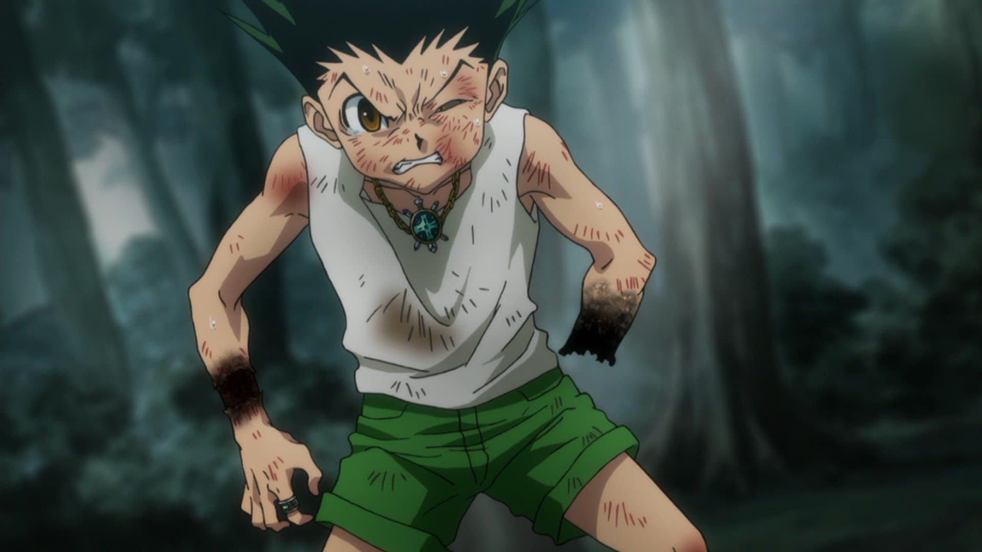 Hunter x Hunter - Victor x And x Loser