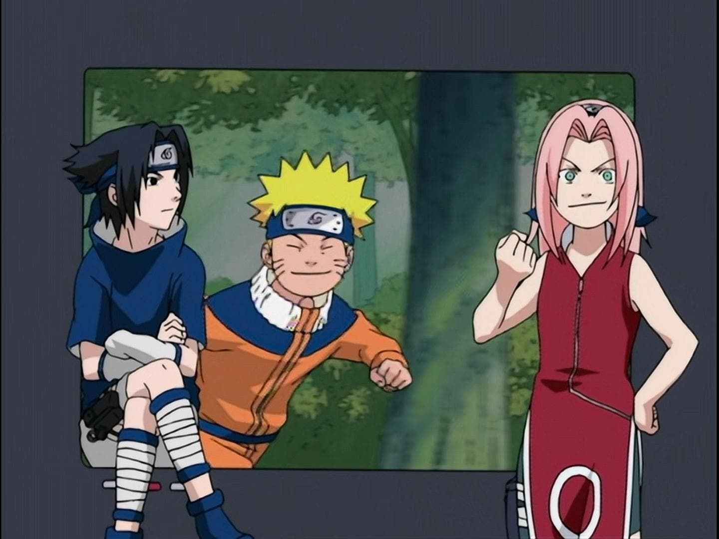 Naruto - Special Report: Live from the Forest of Death!