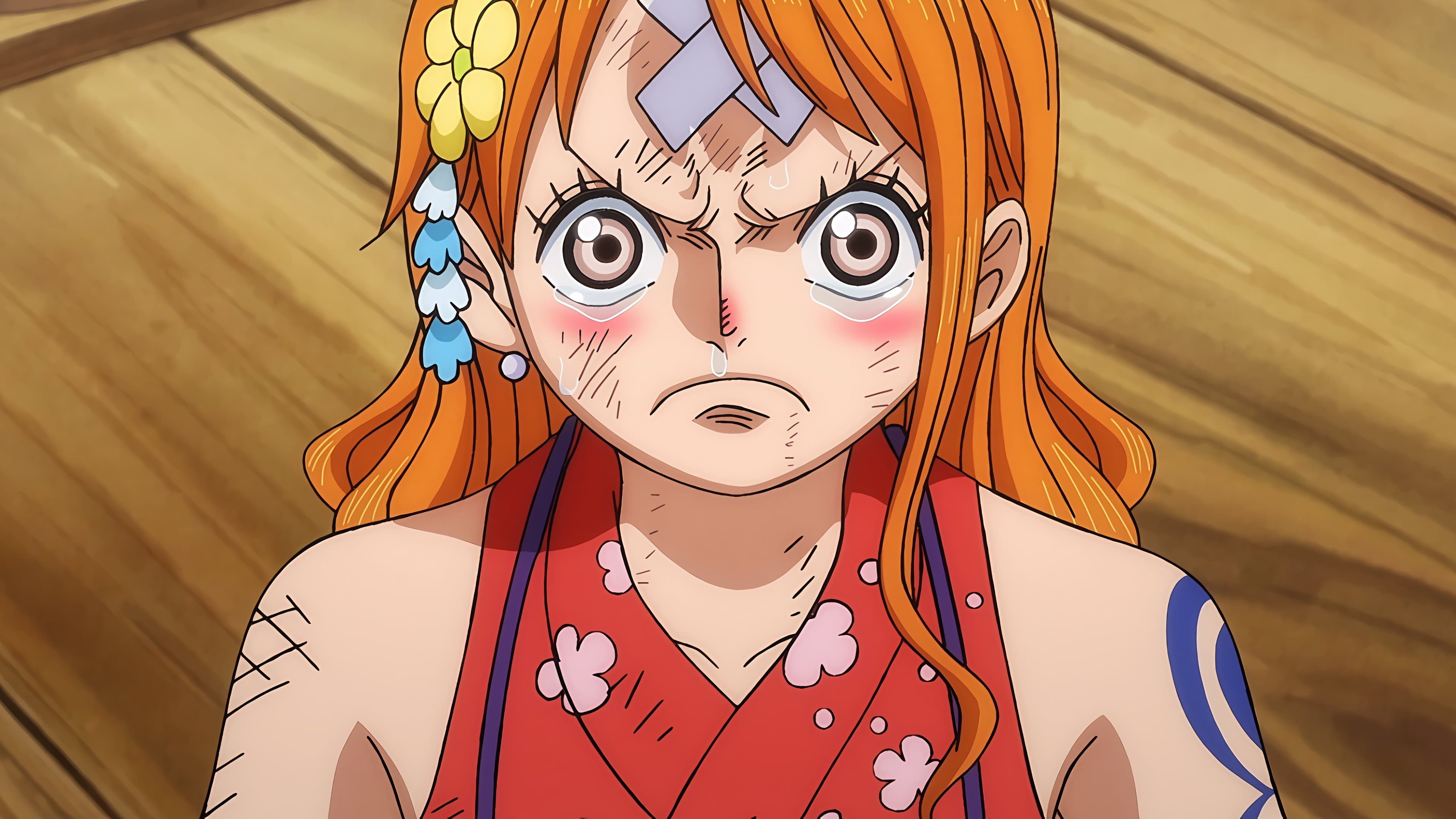 One Piece - Luffy Is Defeated?! The Determination of Those Left Behind