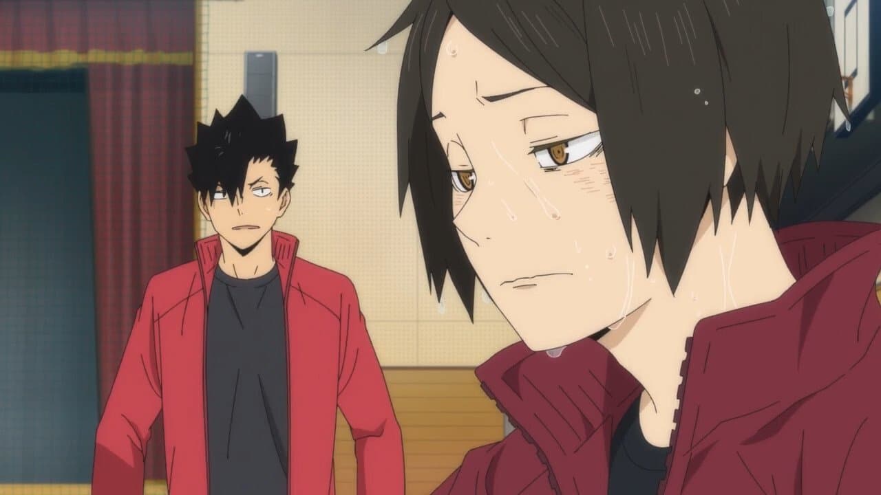 Haikyuu!! - Cats vs. Monkeys