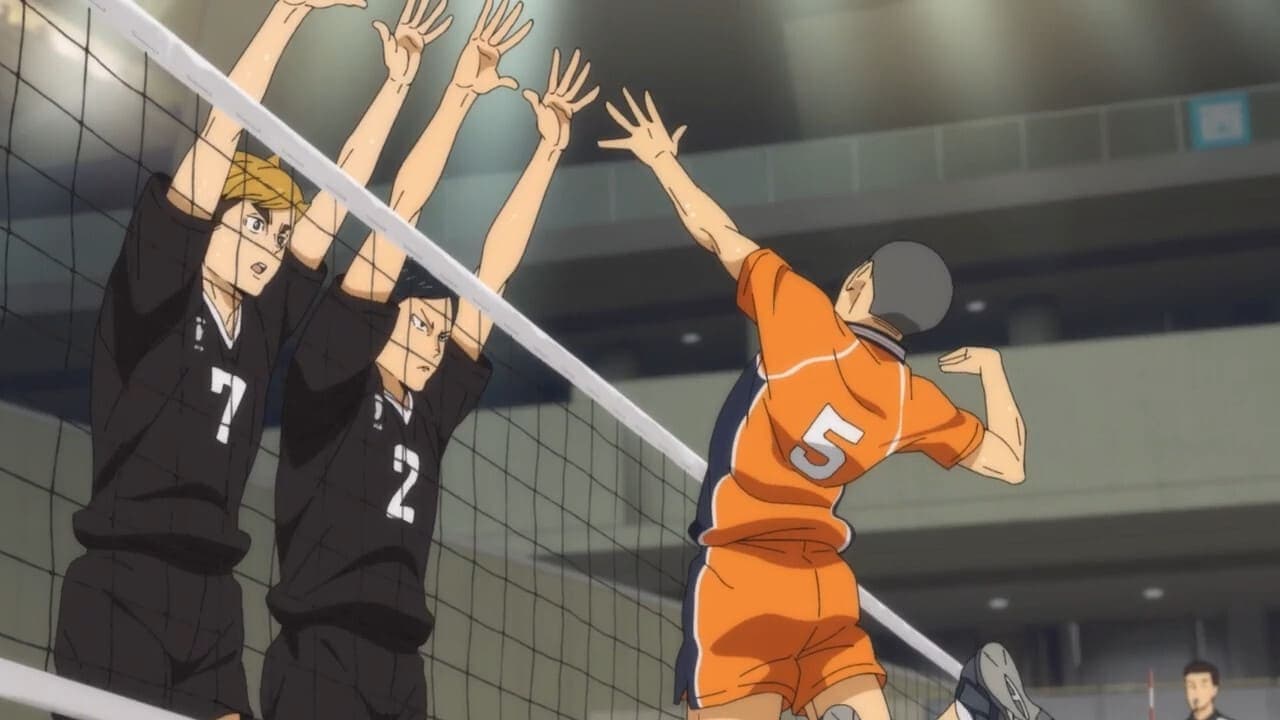 Haikyuu!! - Pitons
