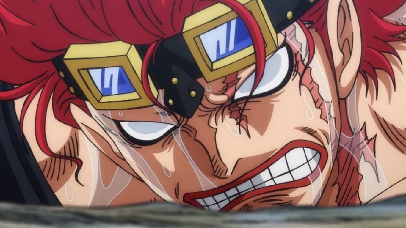 One Piece - Stop the Emperor of the Sea! Queen's Secret Plan!