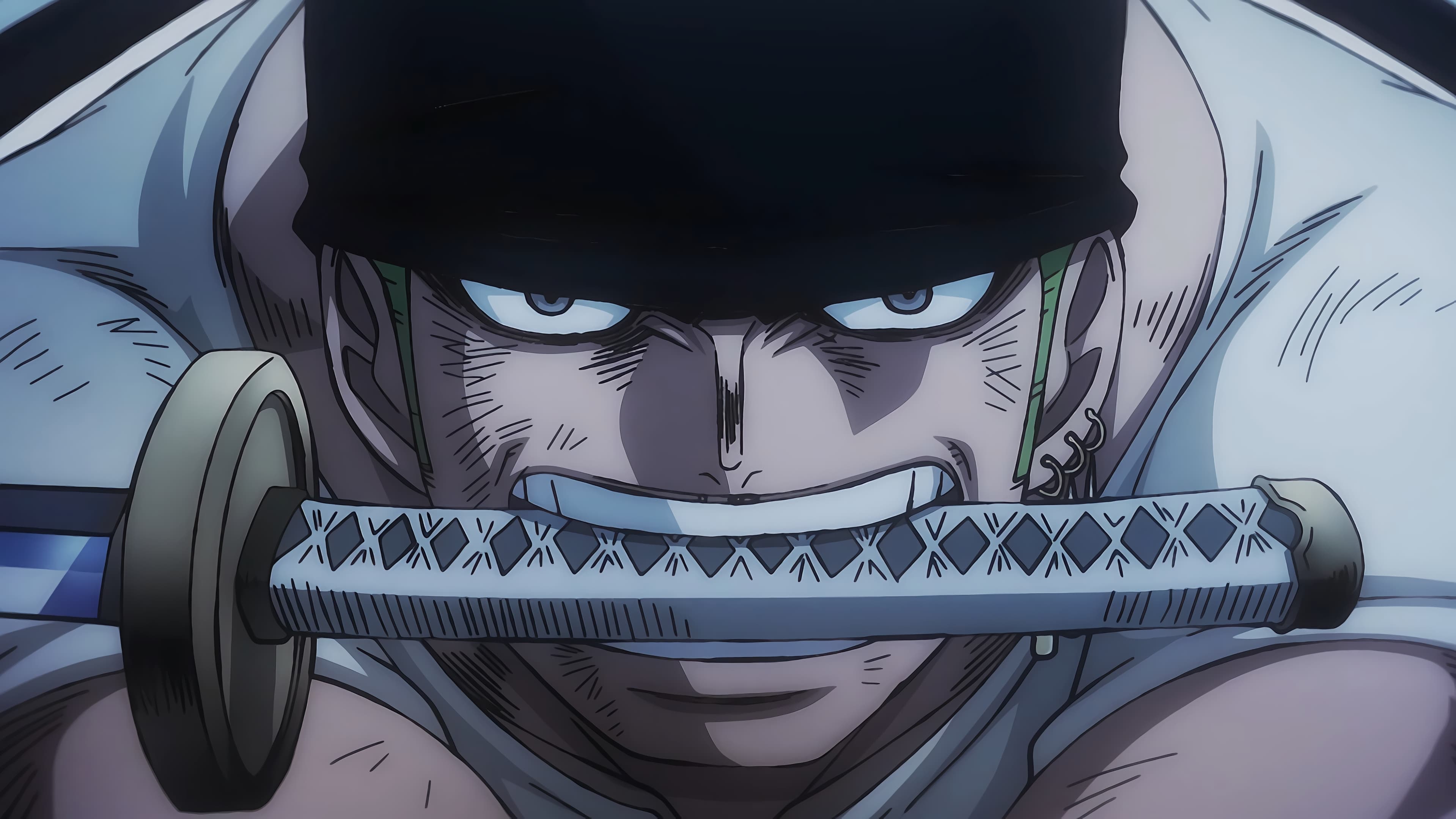 One Piece - Secrets of Enma! The Cursed Sword Entrusted to Zoro